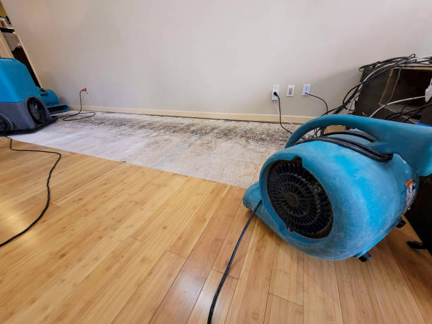 Professional Water Removal technician working in Summit, NJ